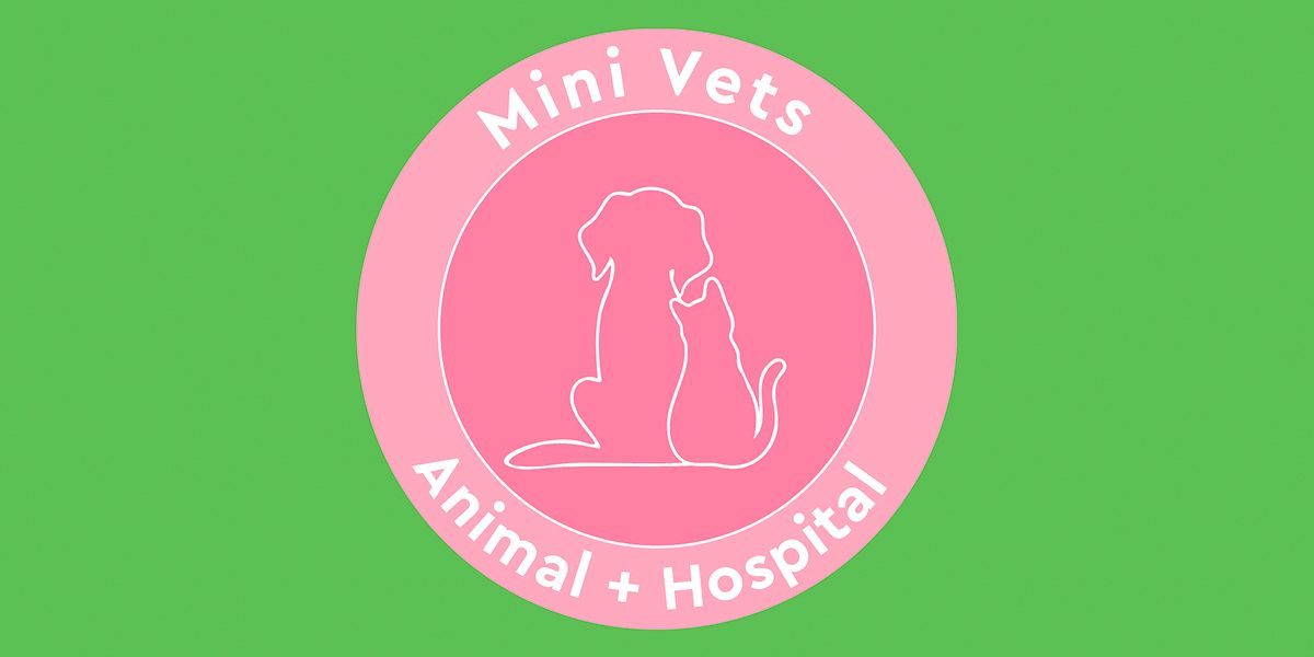 Mini Vet Clinic 1200x600