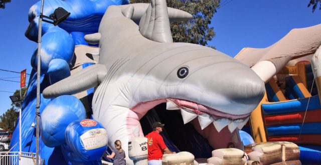 happy hop shark water slide